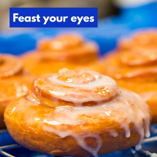 Cinnamon Roll